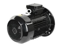 Электродвигатель Simel 7/100R-4-2T, 3 кВт