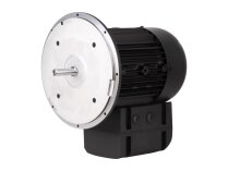 Электродвигатель Weishaupt WM-D112/140-2/3K5, 21520407300