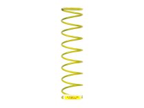 Пружина Weishaupt DN 50 / Rp 2", 490131