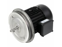 Электродвигатель Weishaupt WM-D112/140-2/3K5 21520407010 Альт. арт: We21520407010.
