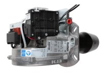 Газовая горелка Ecoflam MAX GAS 120 LN P CV HT TC TW