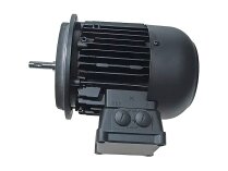Электродвигатель Weishaupt WM-D132/210-2/10K0