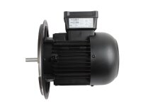 Электродвигатель Weishaupt EC90/90-2/1, арт: 21110307120