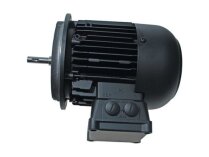 Электродвигатель Weishaupt W-D160/240-2/16K0 21871307010 Альт. арт: We21871307010, We2187130701-0.