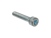 Винт Weishaupt 402249