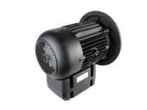 Электродвигатель Weishaupt WM-D112/140-2/3K0 21520307370