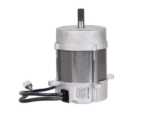 Электродвигатель RUF BW-63-250, арт: RU3008506.