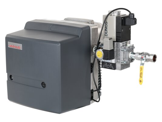 Газовая горелка Weishaupt WG10N/1-D, 3/4, исп. LN